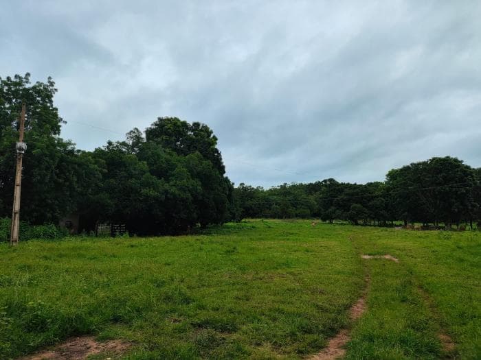 Fazenda a venda em Manso — Rosário Oeste, MT